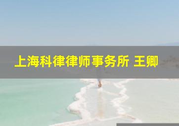 上海科律律师事务所 王卿